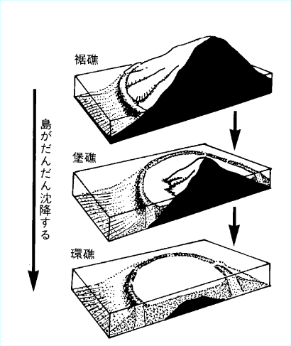 【値下げ】 Research9 生物学