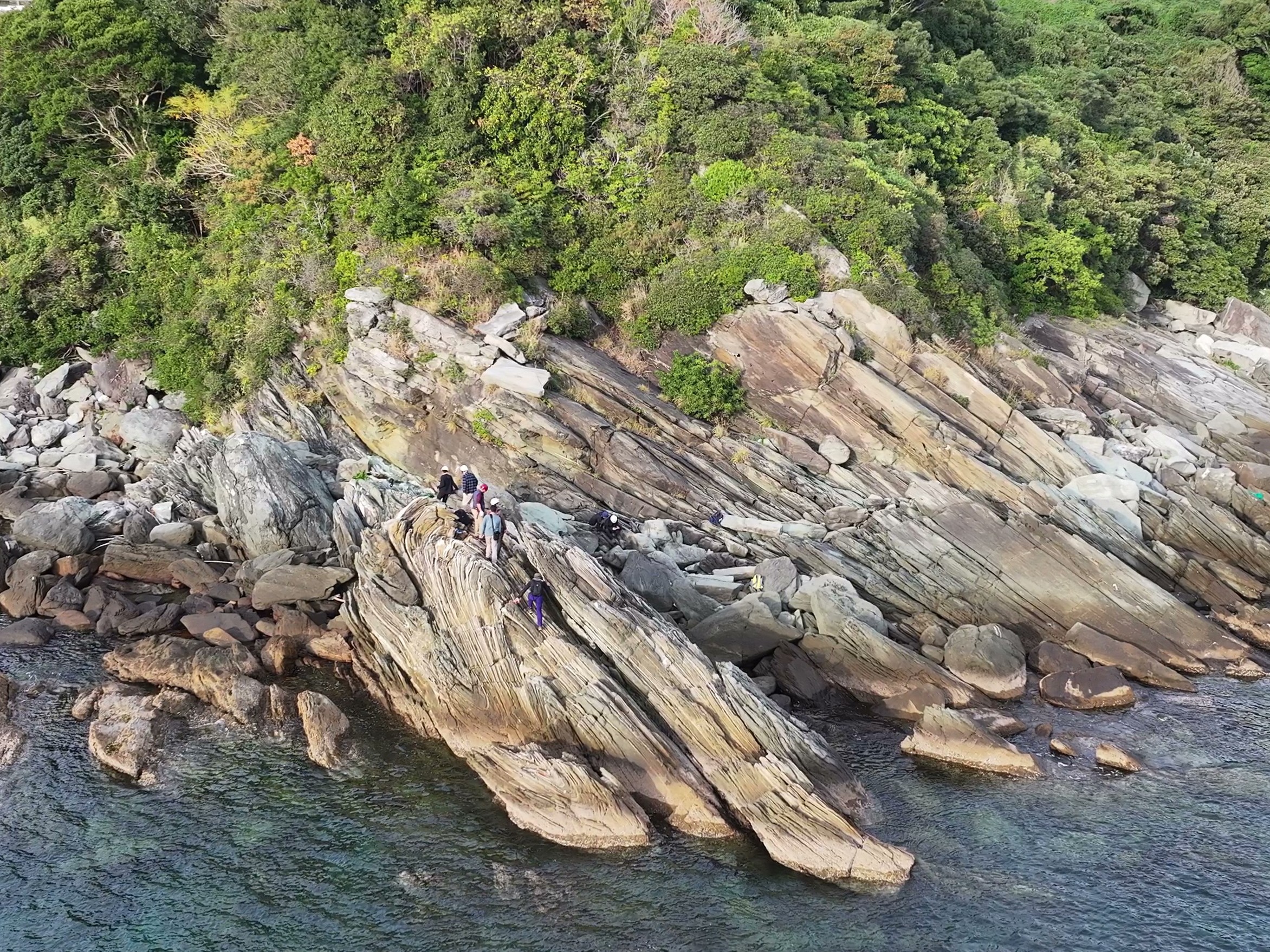 変形が保存された露頭